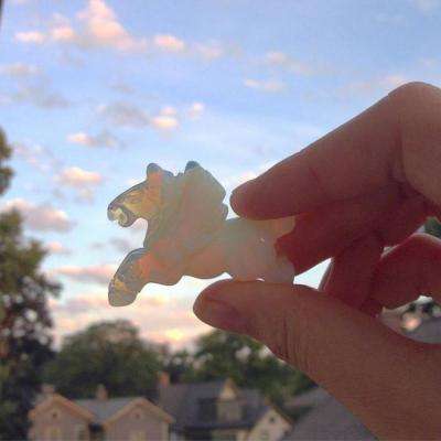 快盈lV购彩大厅app下载